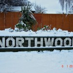 Sunny Northwood
