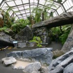 Kewvisit2