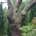 Kewvisit4