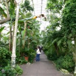 Kewvisit9