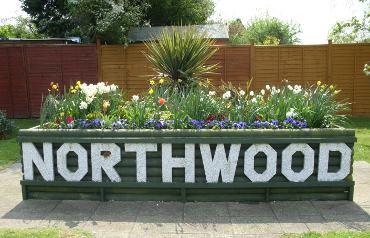 northwoodflowerbed